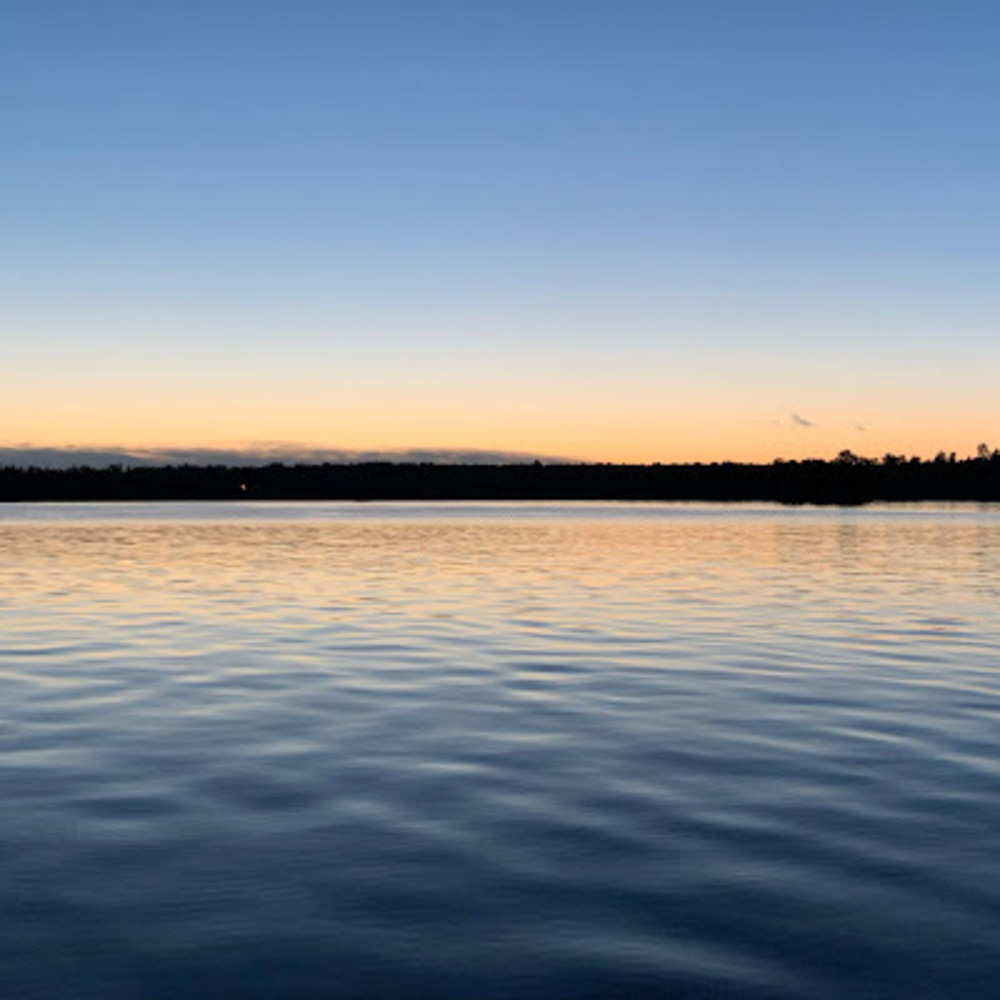 Meet your Posher, Jadyn